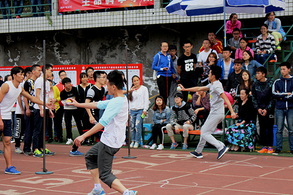 杨玲.JPG