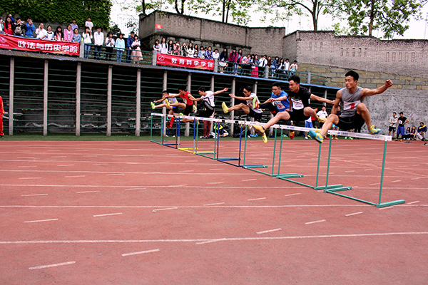 杨玲2.JPG